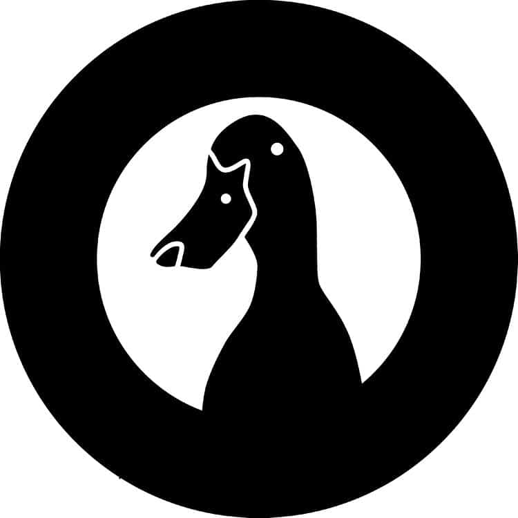 openair am Greifensee